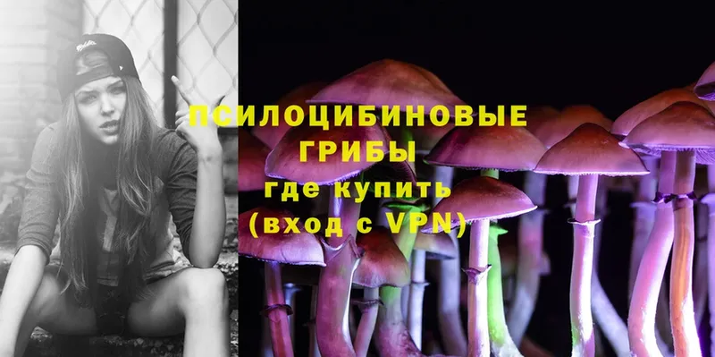 закладки  Кизляр  Галлюциногенные грибы Cubensis 